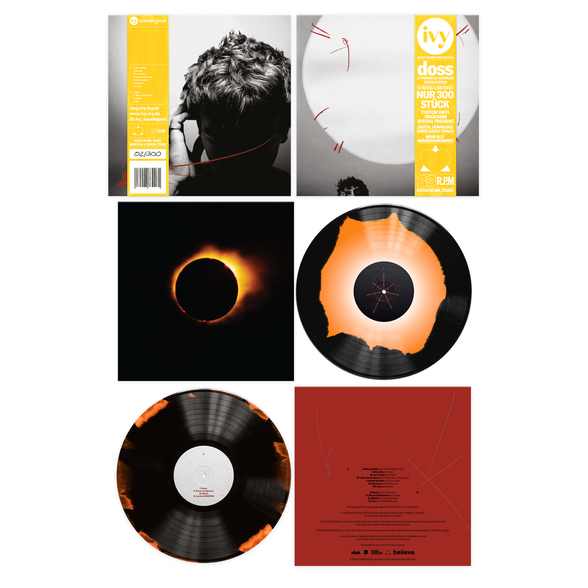 doss - mehr als / 4WändeKeinZimmer (LP Layered Colored Vinyl)