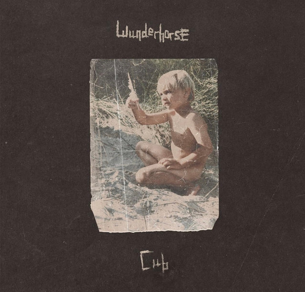 Wunderhorse - Cub (LP Limited Crystal Clear Vinyl)