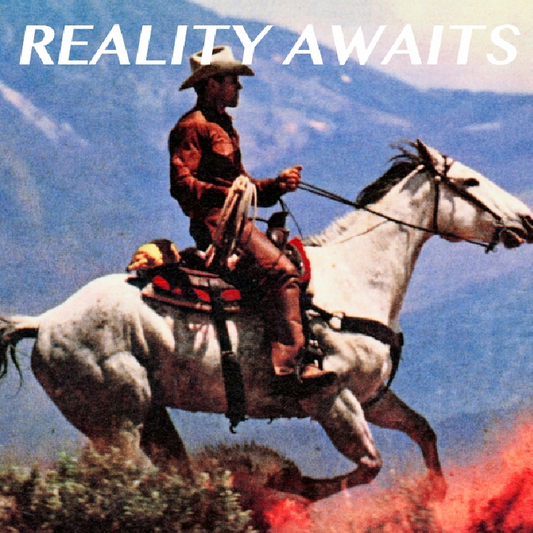 The Strokes - Reality Awaits (LP Black Vinyl)