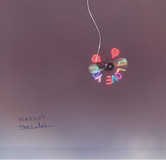 Bilderbuch - mea culpa (LP)